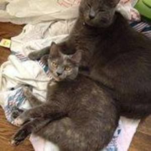 Meet your Posher, Miranda