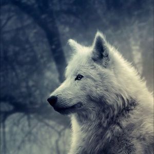 Meet your Posher, Brandi