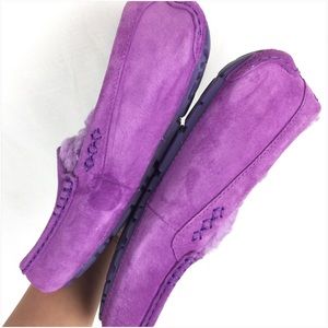 ugg ansley crazy plum ugg ansley crazy plum