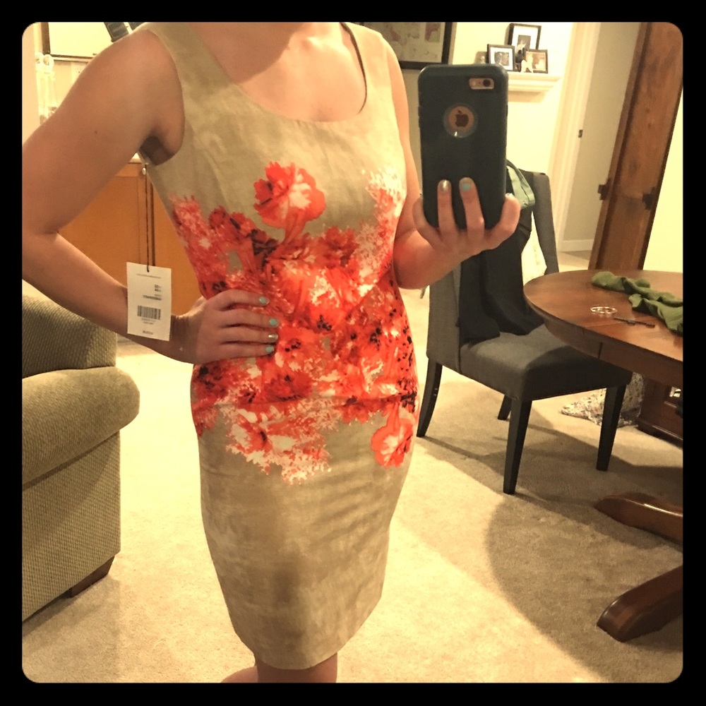 NWT Carlisle designer dress