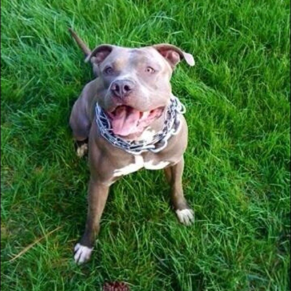 My Razors Edge. ✨✨✨💫💫💫