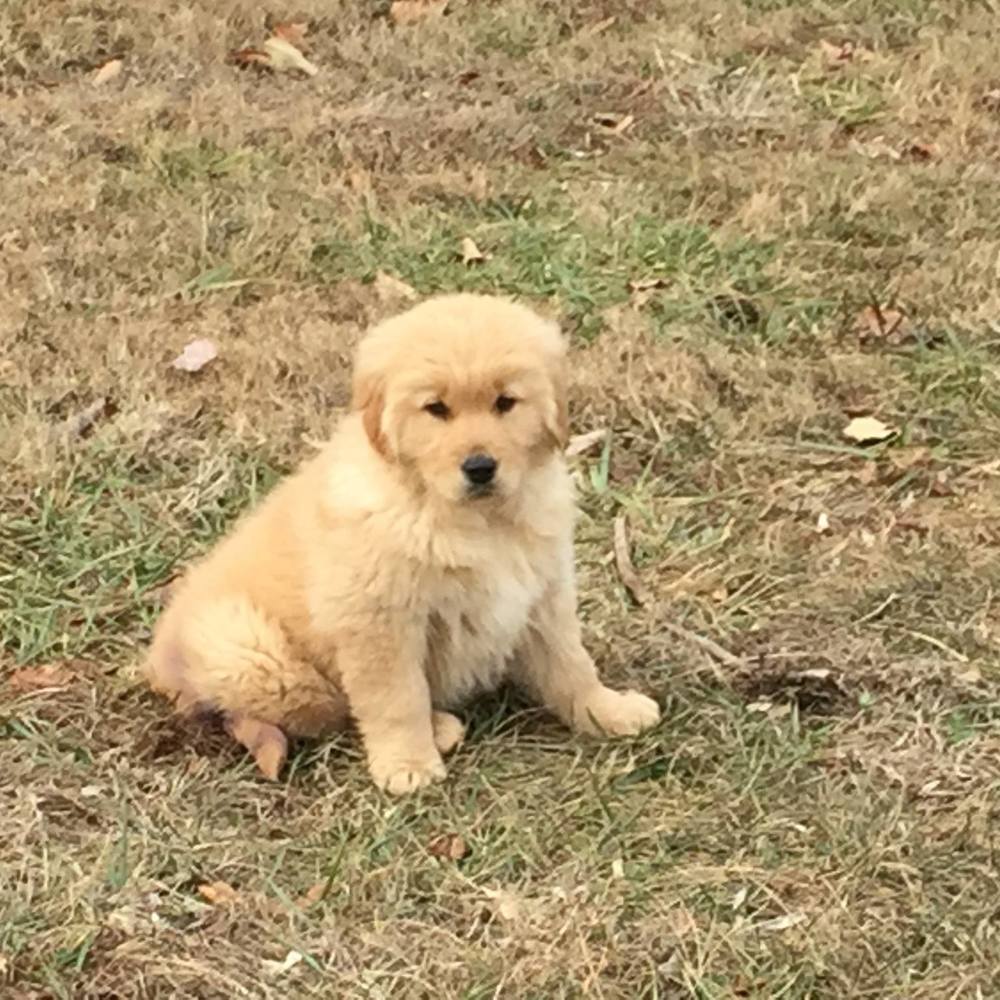 Meet your Posher, Tammie