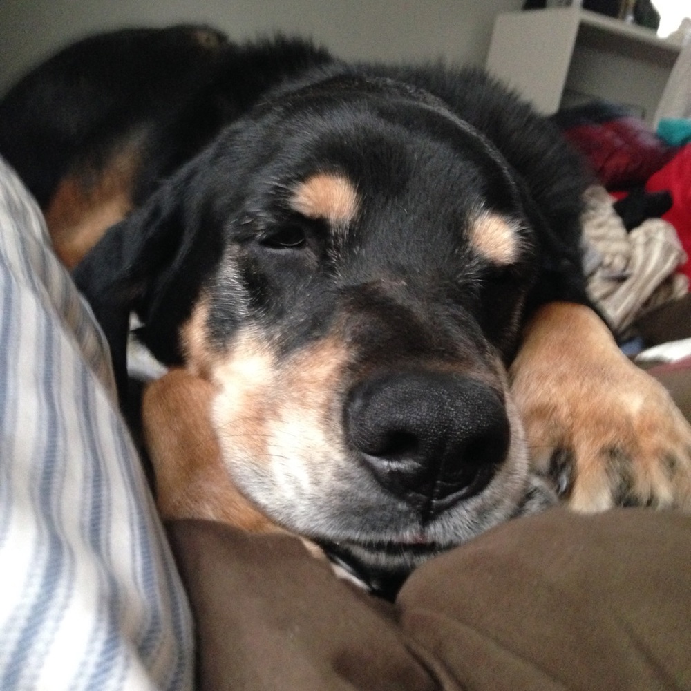 Meet your Posher, Kristy