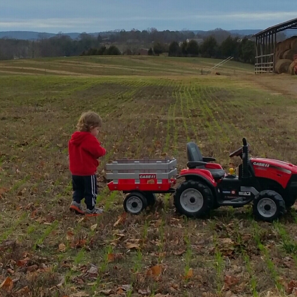 Meet your Posher, Elise