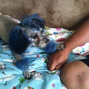 Meet your Posher, Cathy