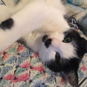 Meet your Posher, Laura