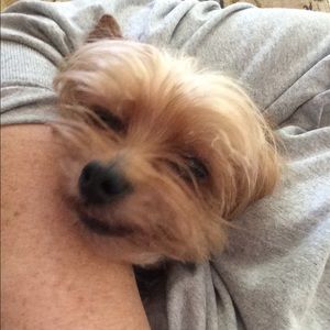 Meet your Posher, Elaine