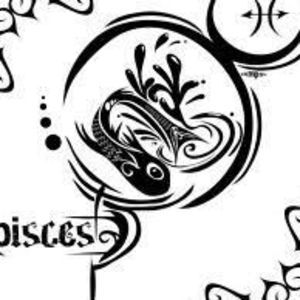 Meet your Posher, Paige