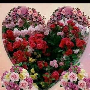 Meet your Posher, Catherine