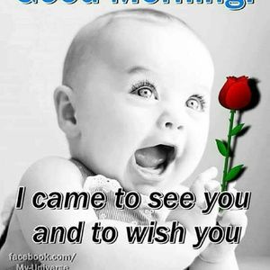 Meet your Posher, Carmelita