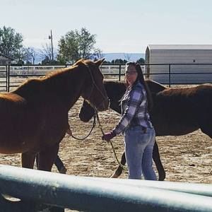 Meet your Posher, Shannon