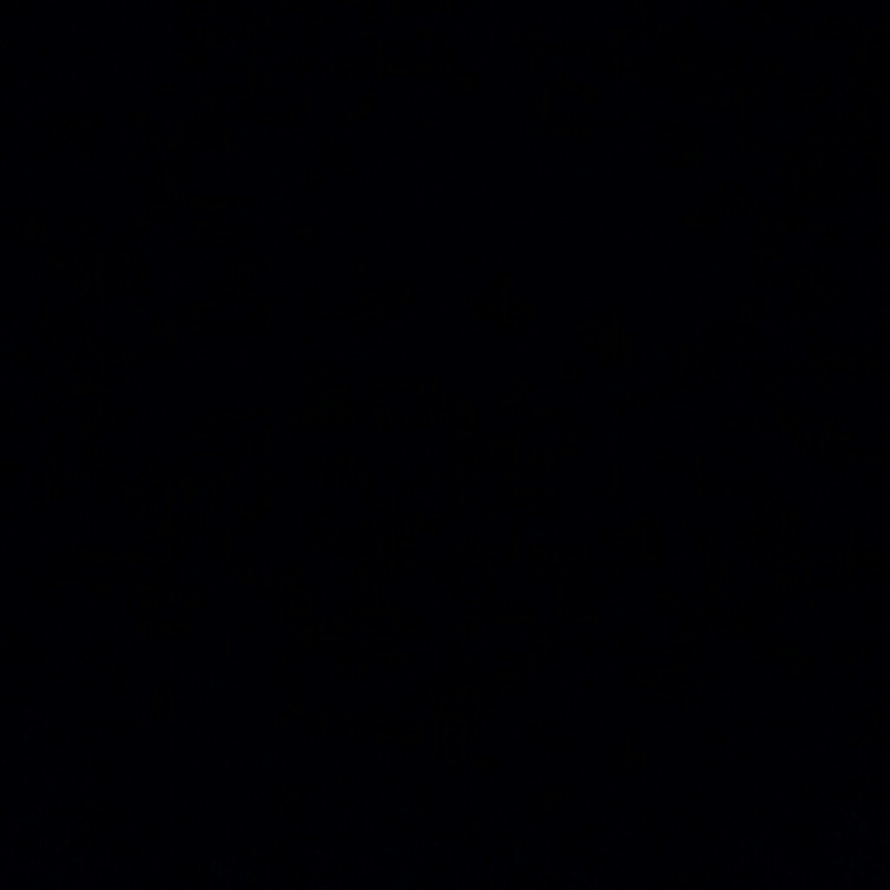 Meet your Posher, Ann