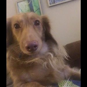 Meet your Posher, Letty