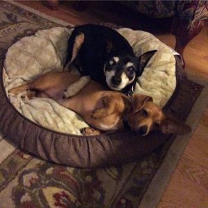 Meet your Posher, Linda