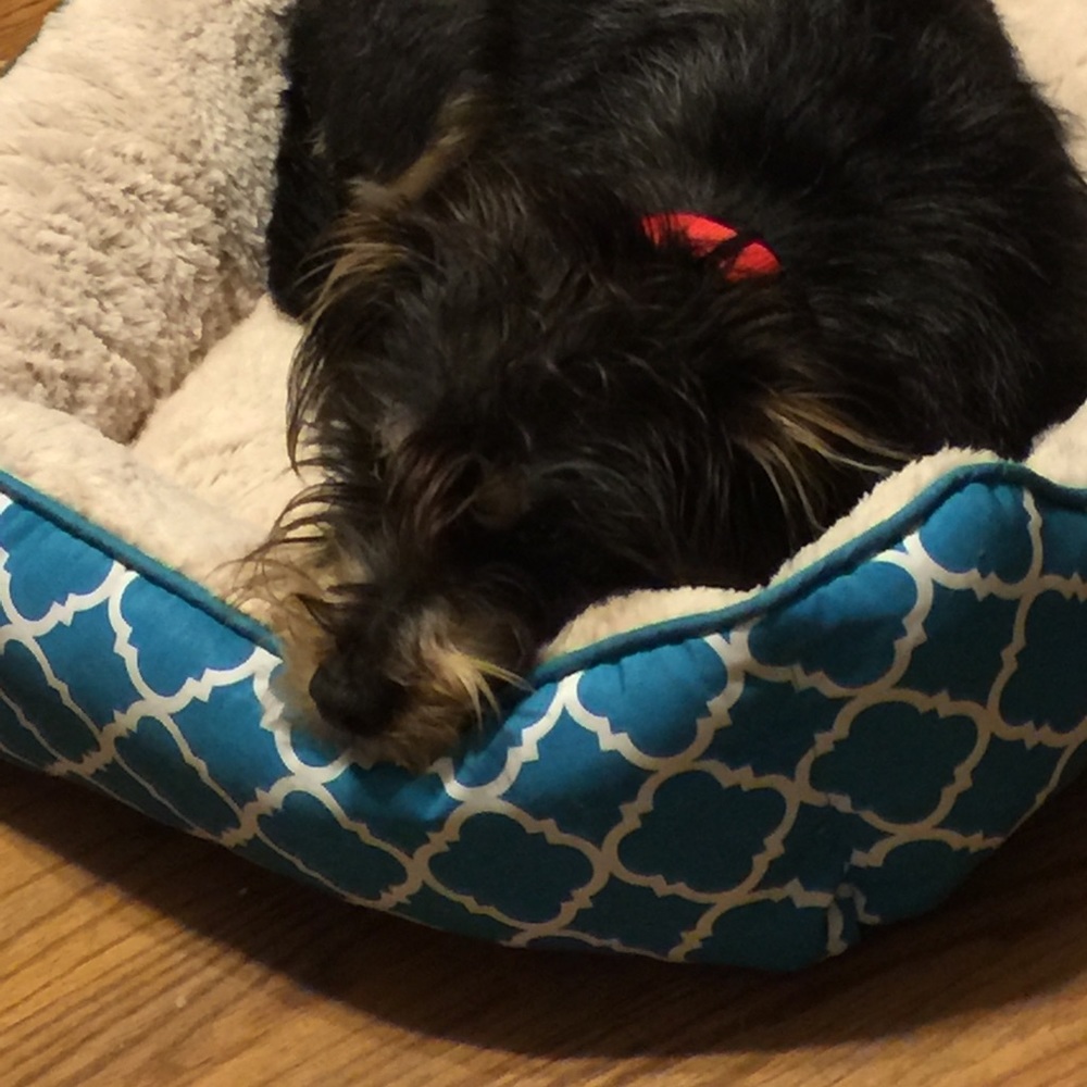 Meet your Posher, Candis