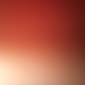 Meet your Posher, Nelly