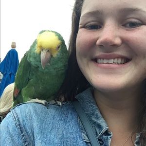 Meet your Posher, Ella