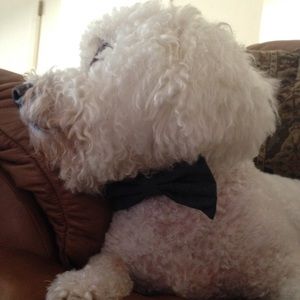 Meet your Posher, Mark