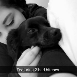 Meet your Posher, Hailey