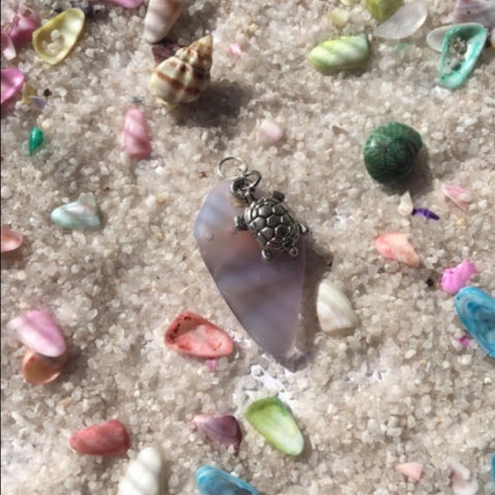 Zebra turtle sea glass