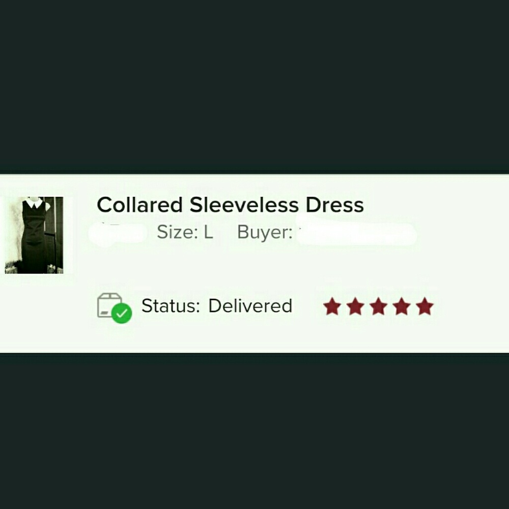 Collared Sleeveless Dress - Picture 3 of 3