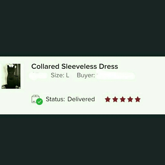 Collared Sleeveless Dress - Picture 3 of 3