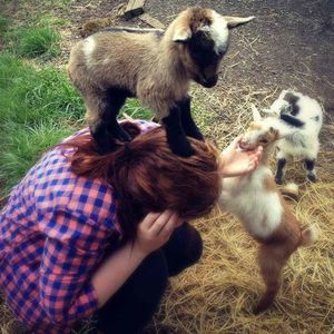 Meet your Posher, Isabella