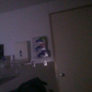 Meet your Posher, Gladys