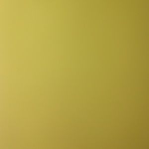 Meet your Posher, Suzanne