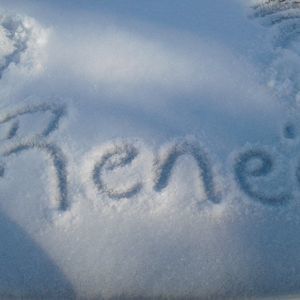 Meet your Posher, Renee