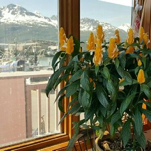 Meet your Posher, Lee