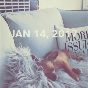 Meet your Posher, Patricia