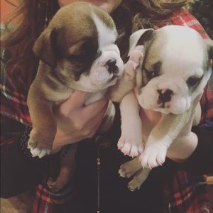 Meet your Posher, Shannyn