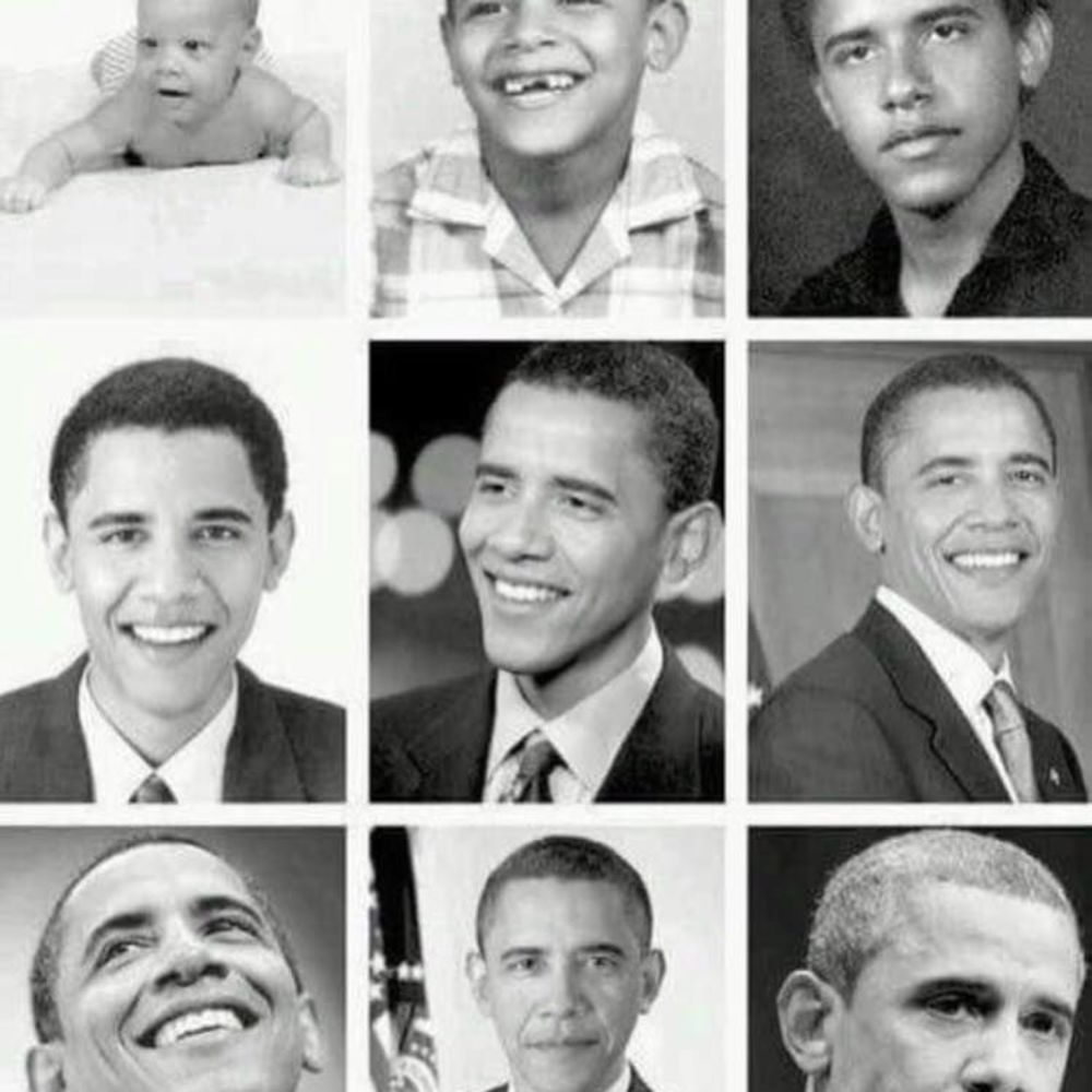 Meet your Posher, Jazzy