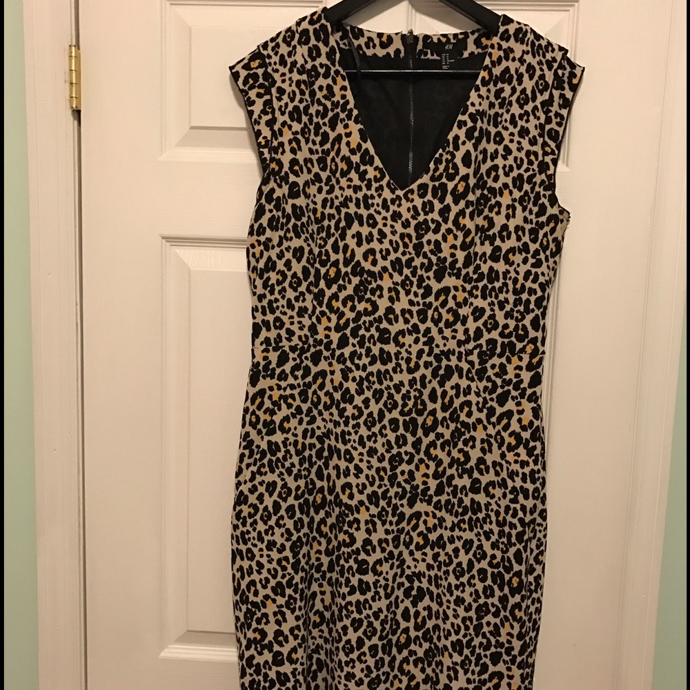 V neck leopard print dress.