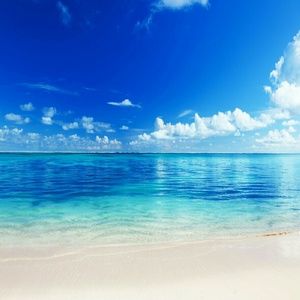 Meet your Posher, Chrystell