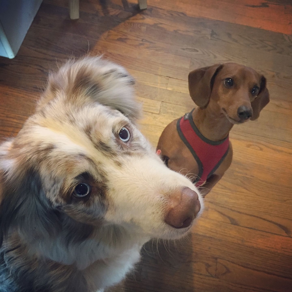 Meet your Posher, Rebecca