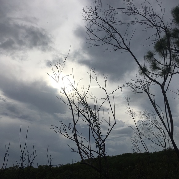 Meet your Posher, Lee - Picture 2 of 4