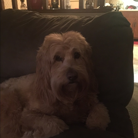 Meet your Posher, Nancy - Picture 1 of 1