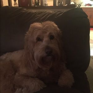 Meet your Posher, Nancy