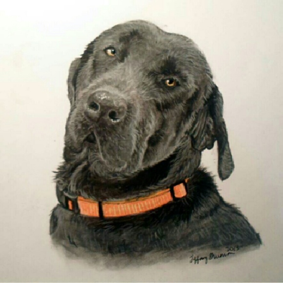 Colored Pet Portrait - Picture 1 of 3