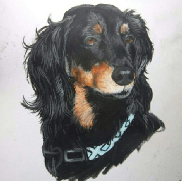 Colored Pet Portrait - Picture 2 of 3