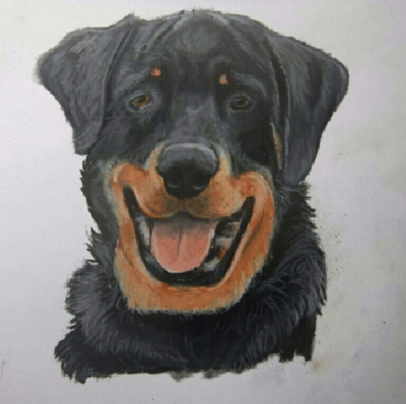 Colored Pet Portrait - Picture 3 of 3