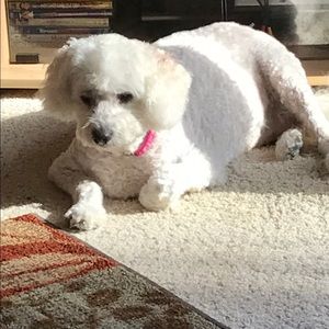 Meet your Posher, Katie