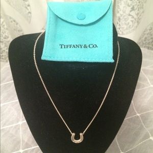 Tiffany & Co. Horseshoe Necklace