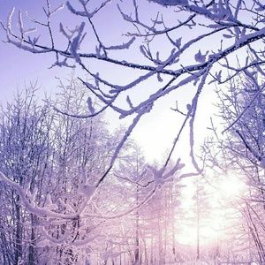 Meet your Posher, Ray