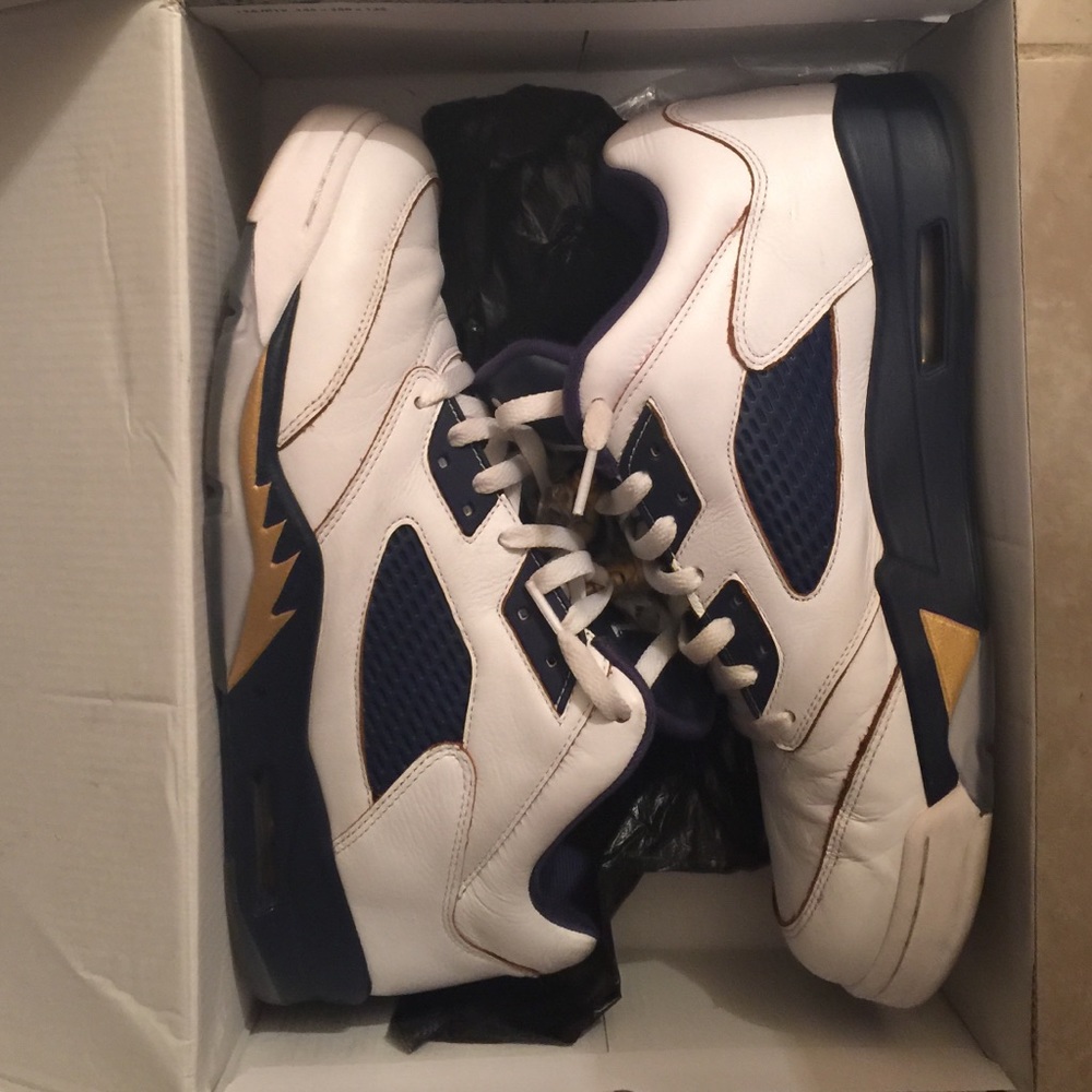 Jordan Retro Low 5 " Dunk From Above"