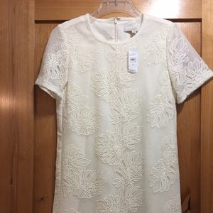 Loft Sheath Dress with tags