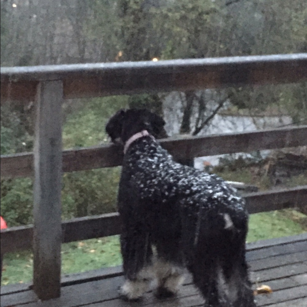 Meet your Posher, Connie