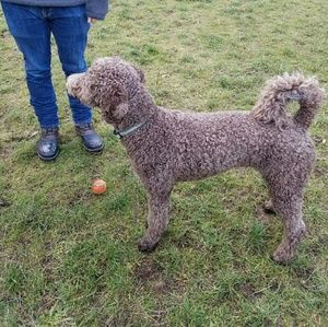 Meet your Posher, Nina